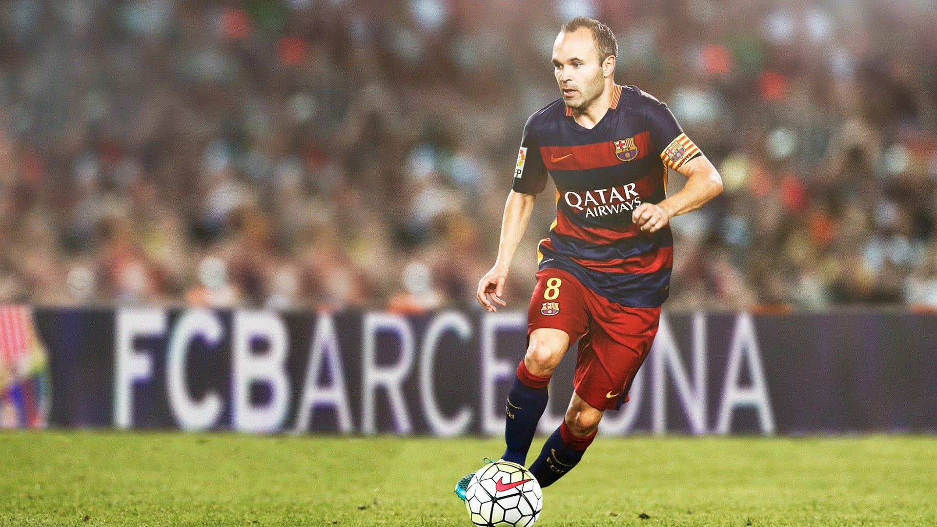 克罗地亚马术协会开展马匹福利宣传活动，提升公众意识。